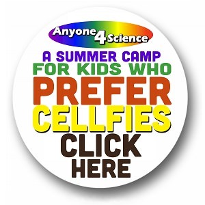 https://anyone4science.com/product/greystones-summer-camp-2024/