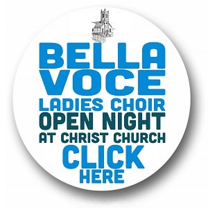 https://singinwicklow.ie/choirs/bella-voce-ladies-choir/