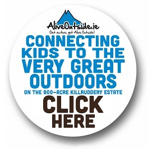 https://www.aliveoutside.ie/